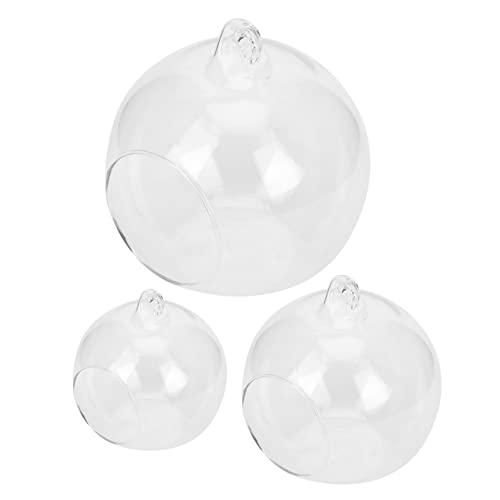 Mikikit 3Stücke Hängende Glasflasche Transparente Terrarien Für Pflanzen Dekoration Für Wohnkultur Und Kreative Mikrolandschaften von Mikikit