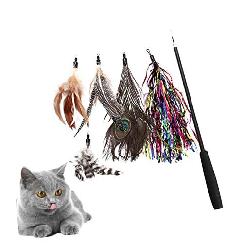 Mikikit 6 Stück 3 Katzenrutenspielzeug Zauberstab Katze klebt Plüsch interaktive Katze Pfauenfeder interaktives Katzen Katzenangel cat Toy Katzen-Teaser Katzenspielzeug Mikikit 6 Stück 3 Katzenrutenspielzeug Zauberstab Katze klebt Plüsch interaktive Katze Pfauenfeder interaktives Katzen Katzenangel cat Toy Katzen-Teaser Katzenspielzeug von Mikikit