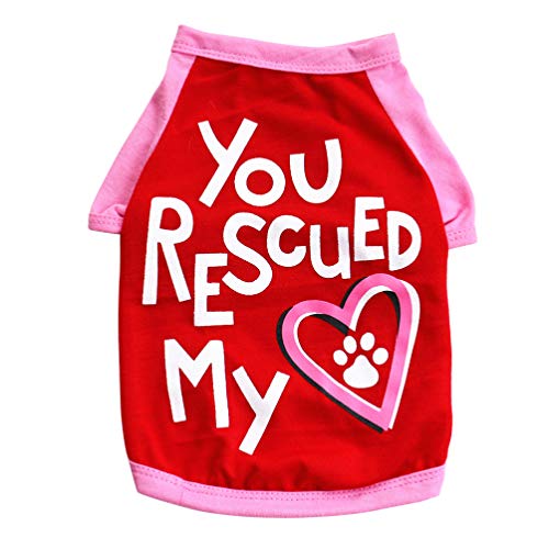 Mikikit Fashion Hundekleidung Für Valentinstag Rote Baumwollkleidung Für Hunde Und Welpen Im Frühling Sommer Für Tägliches Tragen Und Fotos Mikikit Fashion Hundekleidung Für Valentinstag Rote Baumwollkleidung Für Hunde Und Welpen Im Frühling Sommer Für Tägliches Tragen Und Fotos von Mikikit