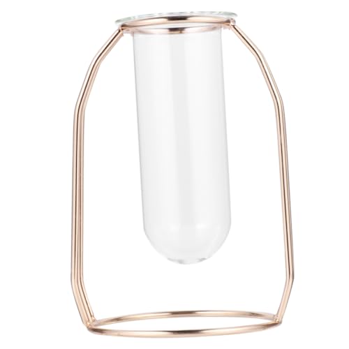 Mikikit Blumenröhre pansycase zweige einschenker schenken Terrarium wohnungseinrichtung Jakobsweg geschke Stulpen für Vasen Wohnkultur Pflanzgefäß mit Metallrahmen Golden Mikikit Blumenröhre pansycase zweige einschenker schenken Terrarium wohnungseinrichtung Jakobsweg geschke Stulpen für Vasen Wohnkultur Pflanzgefäß mit Metallrahmen Golden von Mikikit