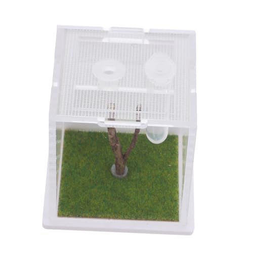Mikikit Box Springspinnen Zuchtbox Futterbox Insektenbehälter Insektenhabitat Hülle Transparent Springspinnenkäfig Spinnenterrarium Zuchtbehälter Reptilienkoffer Acryl von Mikikit