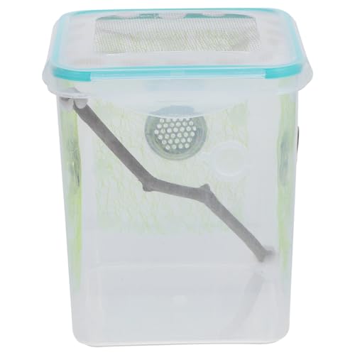 Mikikit Box Terrarium Inkubator Für Reptilien Mantis Inkubator Gehege Für Reptilien Fütterung Futterbehälter Reptilien Inkubator Futterbehälter Für Vogelspinnen Gecko Tank von Mikikit