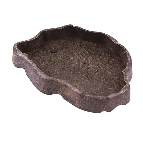Mikikit Essen Wasserschale Wasserspender Für Reptilien Schüsseln Accessoires Für Bartagamen Futternapf Reptil Bartagame Futternapf Kleine Reptilienschale Schildkröte Wasserschale Coffee von Mikikit
