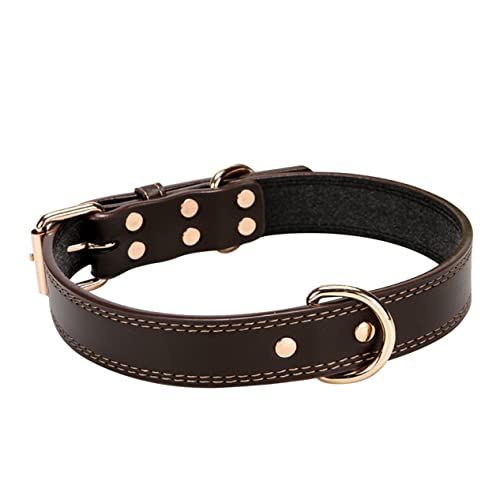 Mikikit Halsband Für Haustier Hundepflegeschleifen Für Halsband Hundehalsband Mit Namensschild Welpenhalsband Lampenschirmhalsband Für Hunde Halskette Verstellbares Coffee von Mikikit