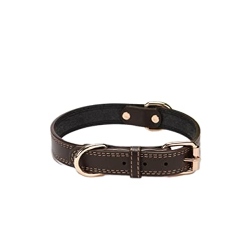 Mikikit Halsband Hund Haustier Mittel Halsband Für Hunderassen Hundehalsbänder Halskette Für Hund Verstellbares Hundehalstuch Hundezubehör Hundehalskette Individuelles Hundehalsband von Mikikit