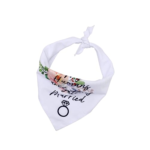 Mikikit Haustier Speichelhalsband Hunde Outfit Hundegeburtstag Hundeplüsch Hundekrawatte Welpenhalsbänder Kostümhut Personalisierte Hundehalsbänder Hundehemd Halsband Für Hunde von Mikikit