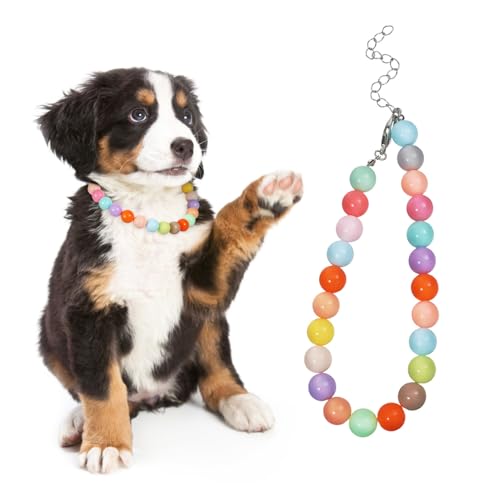 Mikikit Hundehalsband Candy Verstellbare Halskette für Kleine und Große Bequemes Haustierschmuck Accessoire für Hochzeiten und Partys Mikikit Hundehalsband Candy Verstellbare Halskette für Kleine und Große Bequemes Haustierschmuck Accessoire für Hochzeiten und Partys von Mikikit