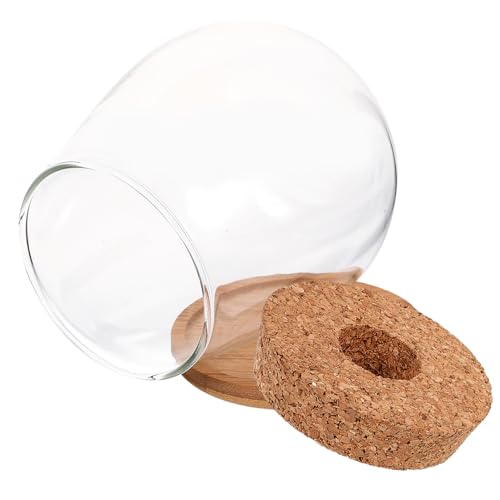 Mikikit Klares DIY Pflanzflasche für Moos und Blumen Transparentes Ökologisches Landschafts Terrarium mit Bambusuntersetzer Dekorativ für Zimmer Balkon Büro von Mikikit