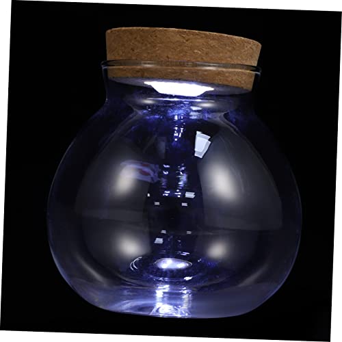 Mikikit Landschaftsflasche Fischgläser Aus Glas Landschaftsbau Landschaftsgestaltung Glasflasche Behälter Mit Deckel Ökologische Flasche Glasterrarium Mini 3D Pflanze Einmachglas Weiß von Mikikit