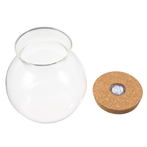Mikikit Landschaftsflasche Durchsichtiger Behälter Kleiner Vorratsbehälter Pilzbehälter Led-Glasflasche Gläser Mit Korkdeckel Mikro-Landschaftsvase Aquarium Landschaftsflasche Ökologische Mikikit Landschaftsflasche Durchsichtiger Behälter Kleiner Vorratsbehälter Pilzbehälter Led-Glasflasche Gläser Mit Korkdeckel Mikro-Landschaftsvase Aquarium Landschaftsflasche Ökologische von Mikikit