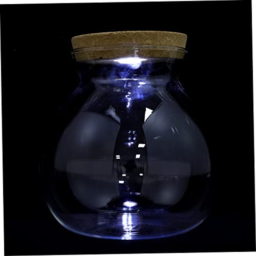 Mikikit Landschaftsflasche Flasche Aus Borosilikatglas Mikrolandschaftshalter Einmachgläser Ökologisches Aquarium Klein Led Glas Mit Hohem Borosilikatgehalt Glasflasche Weiß 3D Terrarium von Mikikit