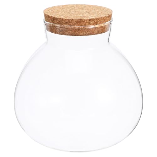 Mikikit Mikrolandschaftsflasche Mit Korkverschluss Für DIY Sukkulenten Und Desktop Dekoration Ökologische Pflanzflasche Für Miniaturgärten von Mikikit