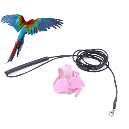 Mikikit Papagei fliegendes Seil Geschirr seilspanner Papagei Zugseil Haustierkabelbaum Mikikit Papagei fliegendes Seil Geschirr seilspanner Papagei Zugseil Haustierkabelbaum von Mikikit
