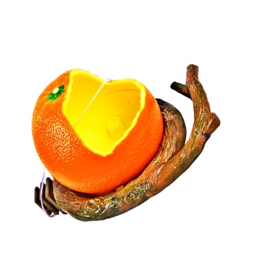 Mikikit Papageienschale Vogel Fütterer Haustier Essen Futterspender Käfig Vogelfutter Futternapf Für Vögel Futterhalter Für Vögel Obst-Vogel-futternapf Orange Mikikit Papageienschale Vogel Fütterer Haustier Essen Futterspender Käfig Vogelfutter Futternapf Für Vögel Futterhalter Für Vögel Obst-Vogel-futternapf Orange von Mikikit