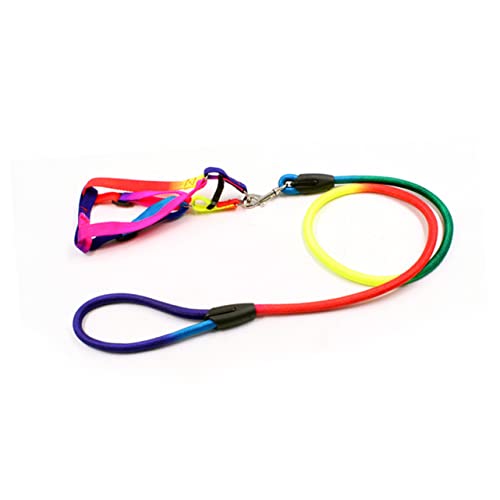 Mikikit Regenbogenfarbene Haustier Zugseile Für Kleine Strapazierfähiges S Für Training Und Langlebig Haustierbedarf Mikikit Regenbogenfarbene Haustier Zugseile Für Kleine Strapazierfähiges S Für Training Und Langlebig Haustierbedarf von Mikikit