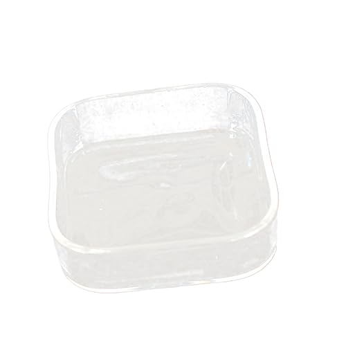 Mikikit Reptiliennapf Dekorationen für Aquarien Meerschweinchen Wachtel Hamster Sphagnum small Animal Food Glasfutterbehälter schleichtiere Kleiner Futternapf Futterautomat für Haustiere von Mikikit
