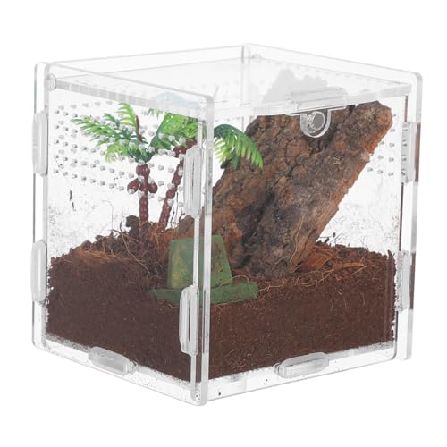 Mikikit Spinnenbox Für Haustiere Terrarium Geckogehege Springspinnenzubehör Schneckengehege Vogelspinnenzubehör Vogelspinnengehege Chamäleongehege Schildkrötenbecken Froschbecken Acryl Mikikit Spinnenbox Für Haustiere Terrarium Geckogehege Springspinnenzubehör Schneckengehege Vogelspinnenzubehör Vogelspinnengehege Chamäleongehege Schildkrötenbecken Froschbecken Acryl von Mikikit