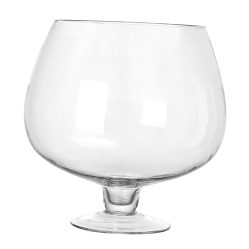 Mikikit Transparenter Goldfischglas Desktop Aquarium Tank Mikrolandschaft Hydroponische Vase für Blumen und Pflanzen als und Wohnraumdekoration von Mikikit