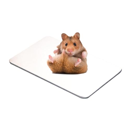 Mikiuly Kaninchen-Kühlkissen, Kühlplatte für Kaninchen, Hamster-Kühlkissen für Kaninchen, Hasen, Hamster, Meerschweinchen Andere Kleine Haustiere bleiben Sie diesen Sommer Kühl(24x14cm) von Mikiuly