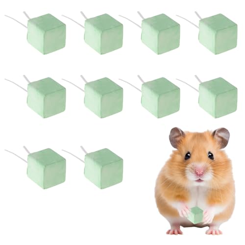 Zahnschleifstein zum Hamster, Tooth Grinding Stone, Molar Stone, Vulkanstein Zahnschleifstein für Haustiere, Molarstein für kleine Haustiere, Kaninchen, Chinchillas, Meerschweinchen, 10 Stück von Mikiuly