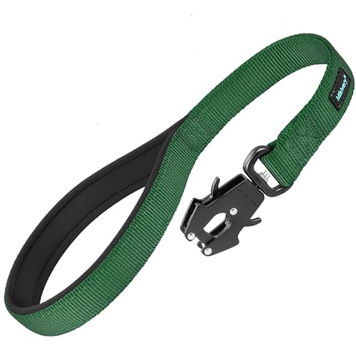 Mikivery Kurze Hundeleine mit bequemem, gepolstertem Griff, robuster Clip für Training, Spaziergänge, Outdoor, geeignet für mittelgroße und große Hunde Mikivery Kurze Hundeleine mit bequemem, gepolstertem Griff, robuster Clip für Training, Spaziergänge, Outdoor, geeignet für mittelgroße und große Hunde von Mikivery