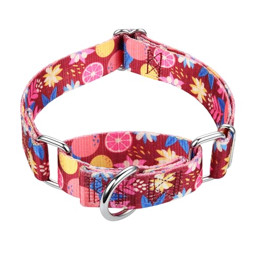 Mikivery Martingale-Halsband, 2,5 cm, zum An- und Ausziehen, keine Schnalle, strafft sanft mittelgroße und große Halsbänder Mikivery Martingale-Halsband, 2,5 cm, zum An- und Ausziehen, keine Schnalle, strafft sanft mittelgroße und große Halsbänder von Mikivery
