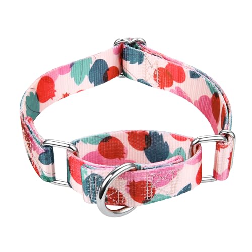 Mikivery Martingale-Halsband, 2,5 cm, zum An- und Ausziehen, keine Schnalle, strafft sanft mittelgroße und große Halsbänder Mikivery Martingale-Halsband, 2,5 cm, zum An- und Ausziehen, keine Schnalle, strafft sanft mittelgroße und große Halsbänder von Mikivery