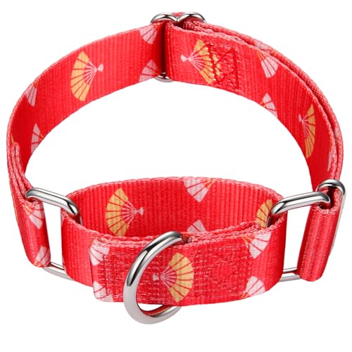 Mikivery Martingale-Halsband für Hunde, 2,5 cm, robust, langlebig, mittlere und große Rassen, für Spaziergänge, Training, Outdoor, den täglichen Gebrauch von Mikivery