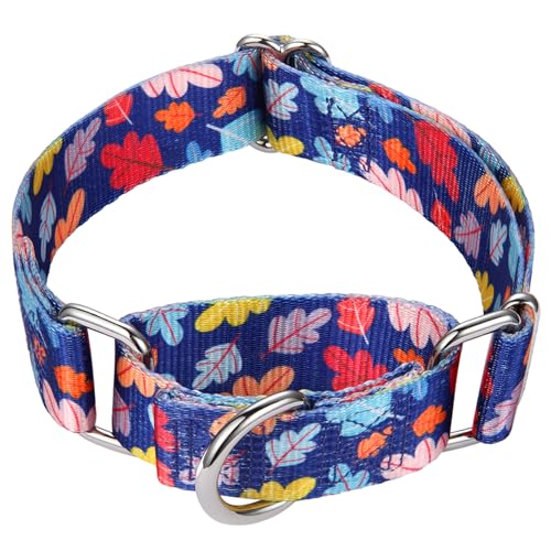 Mikivery Martingale-Halsband für Hunde, 2,5 cm, robust, langlebig, mittlere und große Rassen, für Spaziergänge, Training, Outdoor, den täglichen Gebrauch Mikivery Martingale-Halsband für Hunde, 2,5 cm, robust, langlebig, mittlere und große Rassen, für Spaziergänge, Training, Outdoor, den täglichen Gebrauch von Mikivery