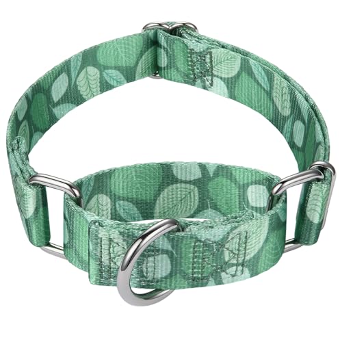 Mikivery Martingale-Halsband für Hunde, 2,5 cm, robust, langlebig, mittlere und große Rassen, für Spaziergänge, Training, Outdoor, den täglichen Gebrauch Mikivery Martingale-Halsband für Hunde, 2,5 cm, robust, langlebig, mittlere und große Rassen, für Spaziergänge, Training, Outdoor, den täglichen Gebrauch von Mikivery