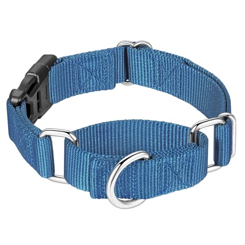Mikivery Martingale-Halsband für Hunde, Nylon, mit Schnellverschluss-Schnalle, verstellbar, Training, rutschfest, Größe M, Dunstblau von Mikivery