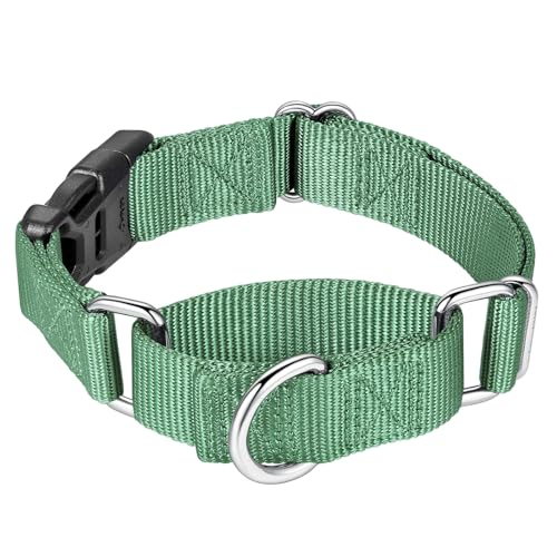 Mikivery Martingale-Halsband für Hunde, Nylon, mit Schnellverschluss-Schnalle, verstellbar, Training, rutschfest, Größe M, Smaragdgrün von Mikivery