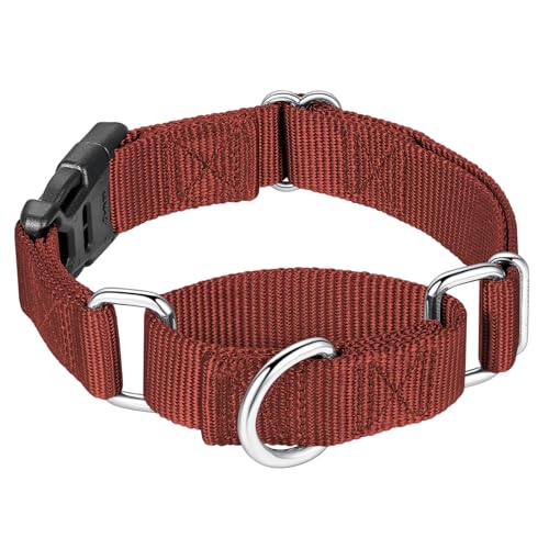 Mikivery Martingale-Halsband für Hunde, Nylon, mit Schnellverschluss-Schnalle, verstellbar, Training, rutschfest, Größe M, Ziegelsteinfarben von Mikivery