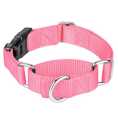 Mikivery Martingale Halsband für Hunde, Nylon, mit Schnellverschluss-Schnalle, verstellbar, Training, rutschfest, Hundehalsbänder (groß, Babyrosa) von Mikivery