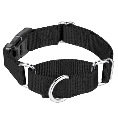 Mikivery Martingale Halsband für Hunde, Nylon, mit Schnellverschluss-Schnalle, verstellbar, Training, rutschfest, Hundehalsbänder (groß, schwarz) von Mikivery