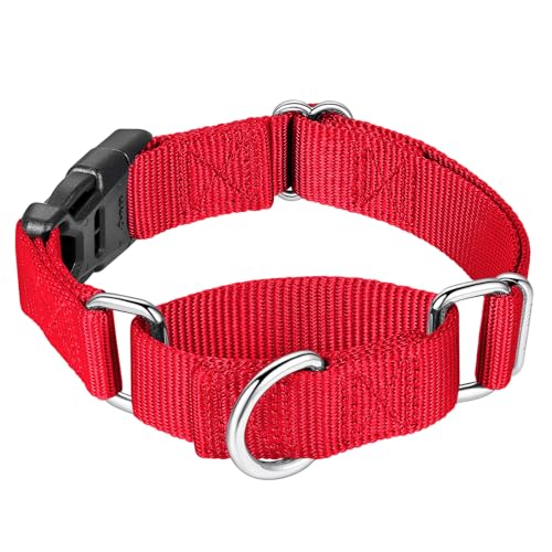 Mikivery Martingale Halsband für Hunde, Nylon, mit Schnellverschluss-Schnalle, verstellbar, Training, rutschfest, Hundehalsband, Größe L, Rot von Mikivery