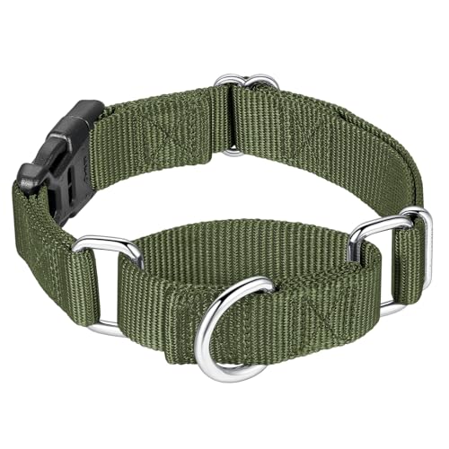 Mikivery Martingale-Halsband für Hunde, Nylon, mit Schnellverschluss-Schnalle, verstellbar, rutschfest, Größe M, Militärgrün von Mikivery