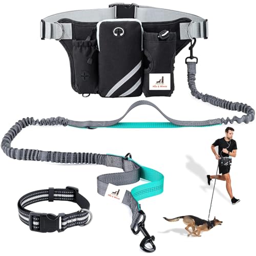 Mila & Winnie Hundeleine mit Reißverschlussbeutel, Hüftgurt mit mehreren Taschen, reflektierende Nähte, Bungee mit Laufgürtel und Halfter für Hundetraining, Joggen, Wandern, Blau Mila & Winnie Hundeleine mit Reißverschlussbeutel, Hüftgurt mit mehreren Taschen, reflektierende Nähte, Bungee mit Laufgürtel und Halfter für Hundetraining, Joggen, Wandern, Blau von Mila & Winnie