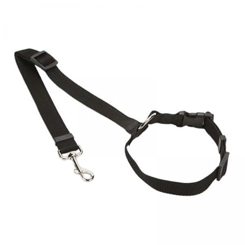 Milageto 2X Auto für Hunde, Leichte Leine, Langlebig, Tragbar, Verstellbare Schnalle, Rücksitz, Sicherheitsleinen für Den Täglichen Milageto 2X Auto für Hunde, Leichte Leine, Langlebig, Tragbar, Verstellbare Schnalle, Rücksitz, Sicherheitsleinen für Den Täglichen von Milageto