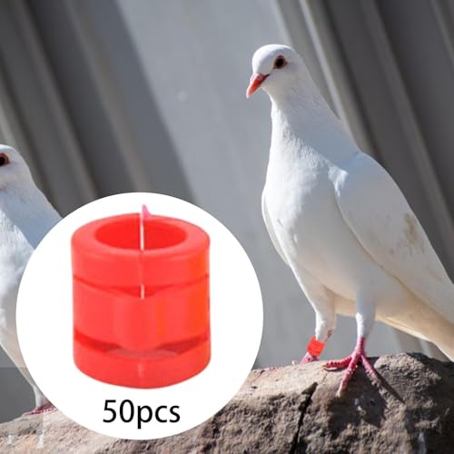 Milageto 50 x 9 mm große Taubenfußringe zur Vogelidentifikation, zum Öffnen für Wachtelzüchter, zu installieren, multifunktional mit Schnappverschluss, Rot von Milageto