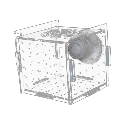Milageto Aquarium-Fisch-Zuchtbox, Aquarium-Versorgung, Acryl-Brut-Inkubator-Box, Fisch-Isolations-Zuchtbox für Babygarnelen, 8cmx8cmx8cm von Milageto