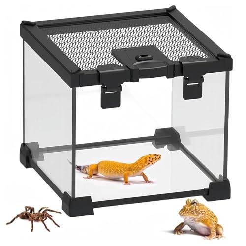 Milageto Mini-Reptilien-Terrarium aus, Vivarium, Futterbox für Hornfrösche, Reptilienbecken für Gottesanbeterinnen, Spinnen, Vogelspinnen, Käfer von Milageto