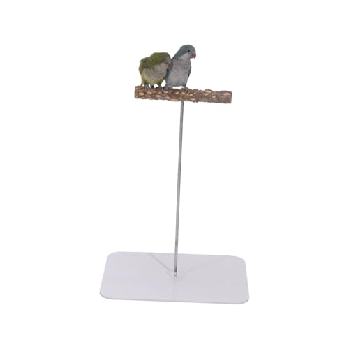 Milageto Papageien-Sitzstange, Spielständer, Vogel-Spielständer, tragbar, aus Holz, für den Schreibtisch, Papageien-Spielplatz, Quadrat, S Milageto Papageien-Sitzstange, Spielständer, Vogel-Spielständer, tragbar, aus Holz, für den Schreibtisch, Papageien-Spielplatz, Quadrat, S von Milageto