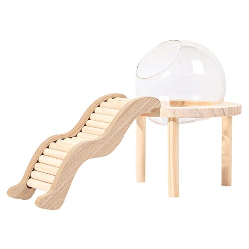 Milageto Transparentes Glas Sandbad, Hamstersandbad, klares Glas Terrarium Behältertopf und Holzbasis für kleine Tiere, Hamster, S Milageto Transparentes Glas Sandbad, Hamstersandbad, klares Glas Terrarium Behältertopf und Holzbasis für kleine Tiere, Hamster, S von Milageto