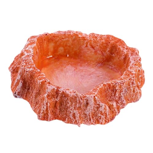 Milageto Wasser Schüssel Tank Decor Lebensmittel Fütterung Schüssel für Frosch Schildkröte Chamäleon Milageto Wasser Schüssel Tank Decor Lebensmittel Fütterung Schüssel für Frosch Schildkröte Chamäleon von Milageto