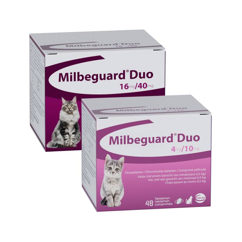 Milbeguard DUO Kitten und kleine Katzen - 4 Tabletten von Milbactor