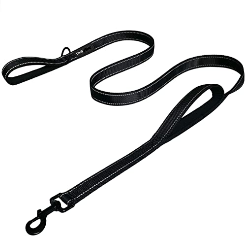 Hundeleine, 1,8 m lang, gepolstert, 2 Griffe, strapazierfähig, Doppelgriffe für Trainingskontrolle, Nylon-Leinen mit 2 Griffen für große oder mittelgroße Hunde, reflektierende Leine, Doppelgriff Hundeleine, 1,8 m lang, gepolstert, 2 Griffe, strapazierfähig, Doppelgriffe für Trainingskontrolle, Nylon-Leinen mit 2 Griffen für große oder mittelgroße Hunde, reflektierende Leine, Doppelgriff von Milcraft