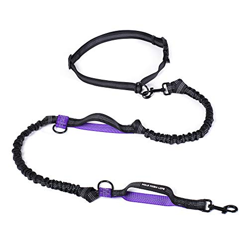 Mile High Life Einziehbare Hände frei Hundeleine Taille Laufen einstellbar Reflektierender Bungee Doppelgriffe(Purple) Mile High Life Einziehbare Hände frei Hundeleine Taille Laufen einstellbar Reflektierender Bungee Doppelgriffe(Purple) von Mile High Life