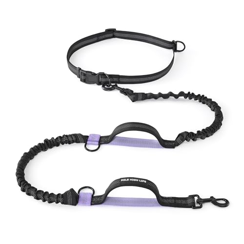 Mile High Life | Einziehbare Hundeleine mit 2,1 m Länge, verstellbare Taille, reflektierende doppelte Spanngurte, doppelte Griffe, kleine, mittelgroße und große Hunde, Schwarz Violett Mile High Life | Einziehbare Hundeleine mit 2,1 m Länge, verstellbare Taille, reflektierende doppelte Spanngurte, doppelte Griffe, kleine, mittelgroße und große Hunde, Schwarz Violett von Mile High Life