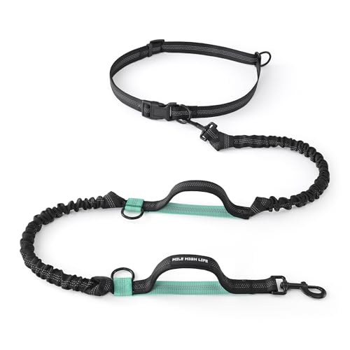 Mile High Life | Einziehbare Hundeleine mit 2,1 m Länge, verstellbare Taille, reflektierende doppelte Spanngurte, doppelte Griffe, kleine, mittelgroße und große Hunde, Schwarzer Teal Mile High Life | Einziehbare Hundeleine mit 2,1 m Länge, verstellbare Taille, reflektierende doppelte Spanngurte, doppelte Griffe, kleine, mittelgroße und große Hunde, Schwarzer Teal von Mile High Life